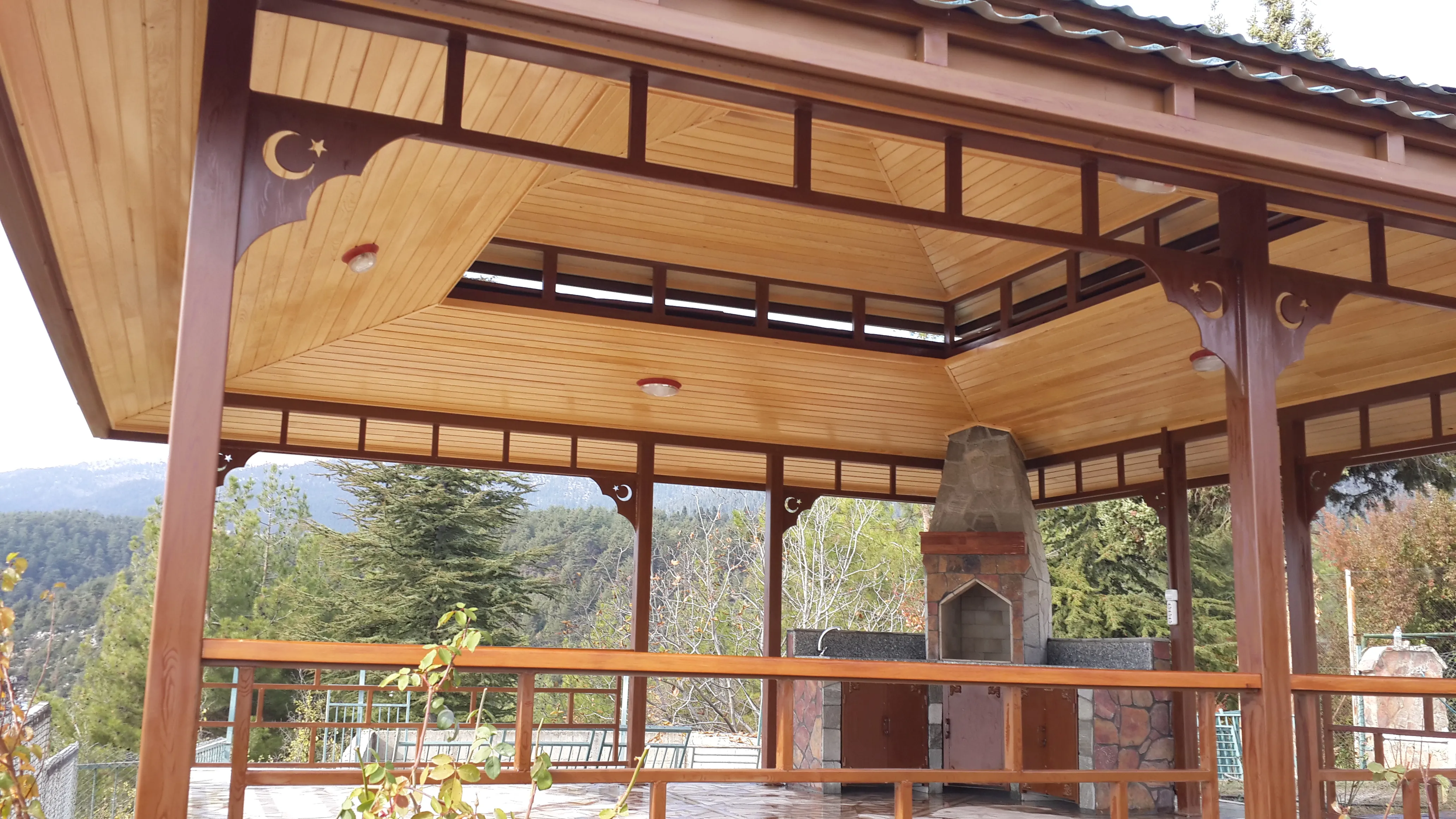 Bahçe Kamelyası