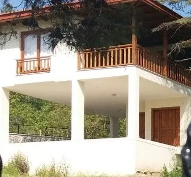 Ahsap Bungalow Ev Tasarimi